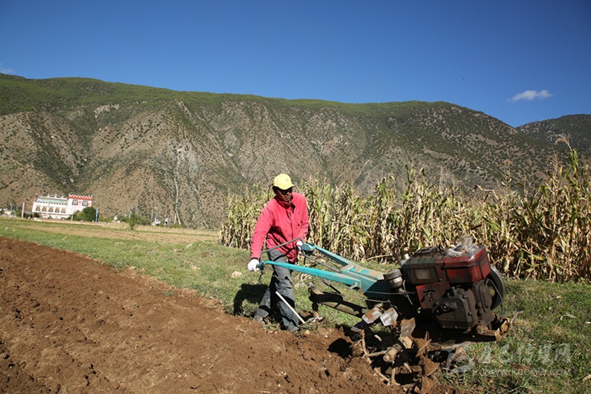 田園藏鄉(xiāng)美如畫，百姓脫貧喜在心