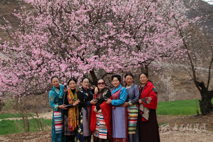 高原江南桃花盛開(kāi)等你來(lái)打卡……