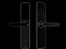 青松沃德-Wi-Fi 指紋鎖家用防盜門智能門鎖密碼鎖刷卡電子鎖 防磁干擾 防撬 L9-WT (不含鎖體，鎖體需另購）